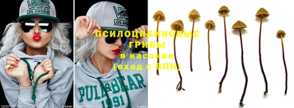спиды Белокуриха