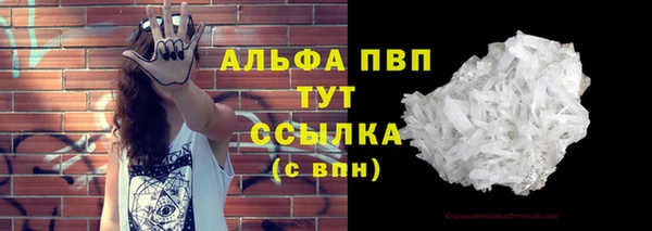 спиды Белокуриха