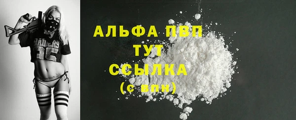 спиды Белокуриха
