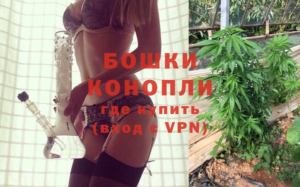 спиды Белокуриха