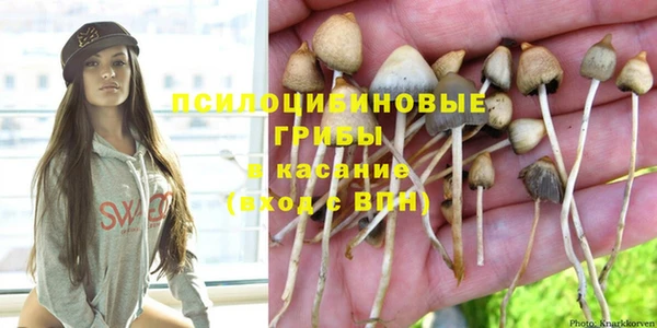 спиды Белокуриха