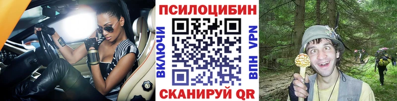 блэк спрут как войти  купить наркотики цена  Горячеводский  Псилоцибиновые грибы Cubensis 